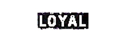 Galleri Loyal